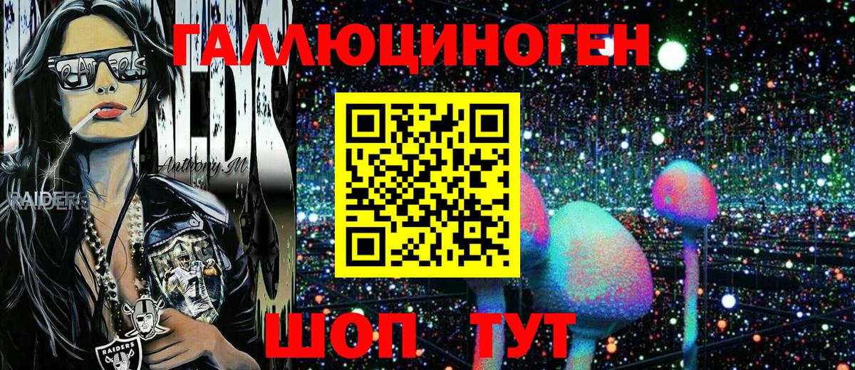 Галлюциногенные грибы Psilocybe Приморско-Ахтарск